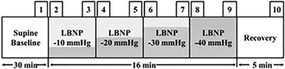 Association of gender with cardiovascular and autonomic responses to central hypovolemia